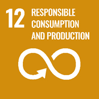 UN goal 12 - responsible consumption and production