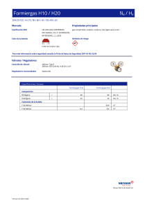 https://www.messer.es/documents/742554/4199739/Formiergas+H10+_+H20.pdf/9e13bee0-9fb9-2d61-c883-060e3fbfa860?version=1.1&t=1764319510403&documentThumbnail=1