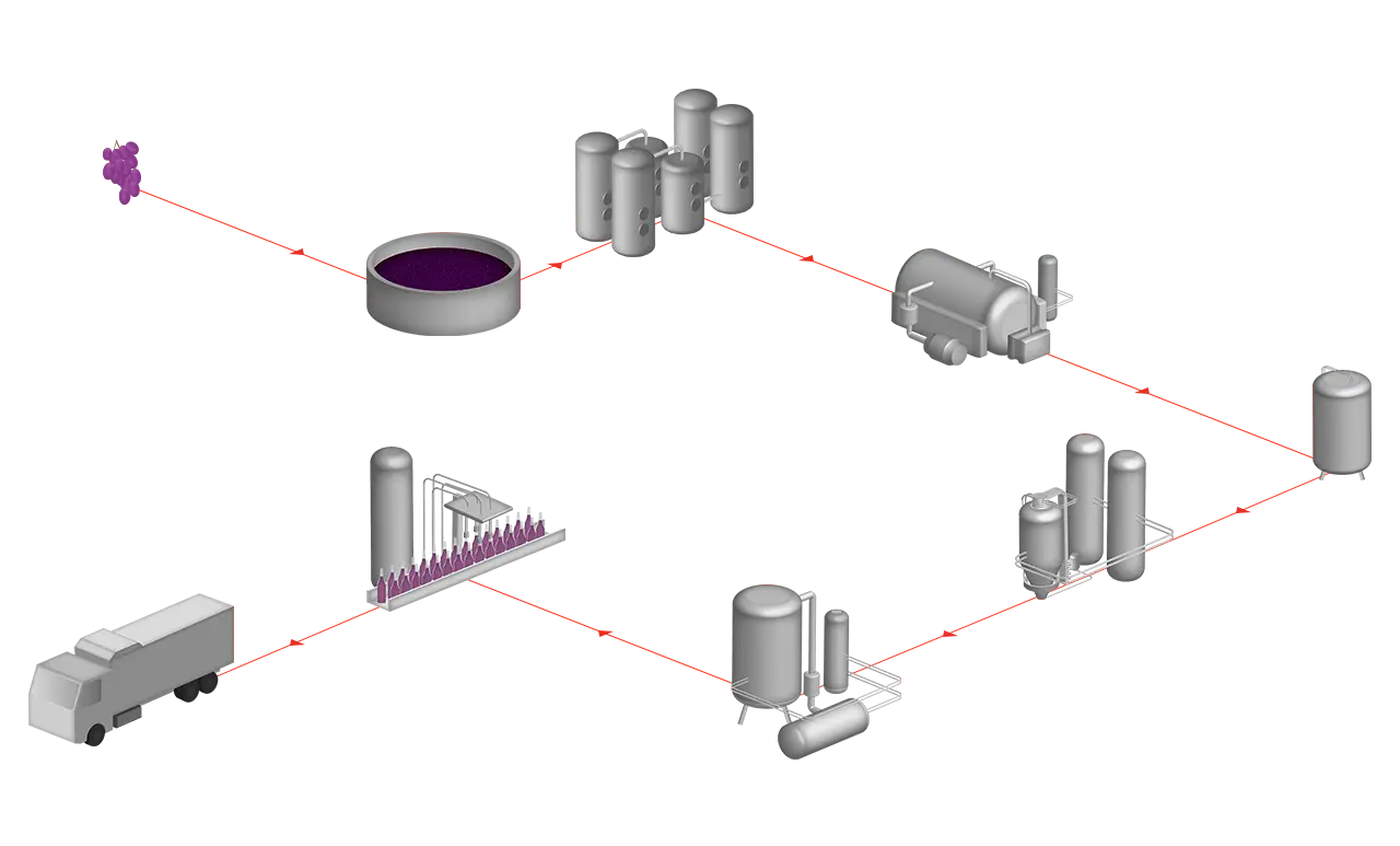 Proceso de elaboración del vino